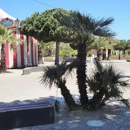 Grand Avec Vue ! * لا سين سور مير